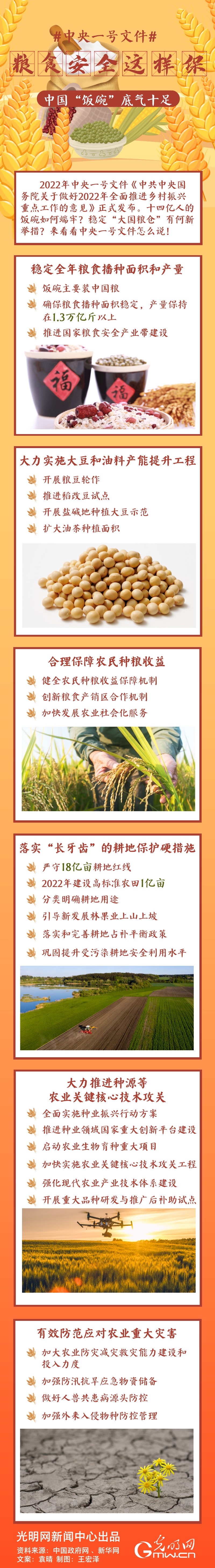 中央一號文件｜糧食安全這樣保，中國“飯碗”底氣十足