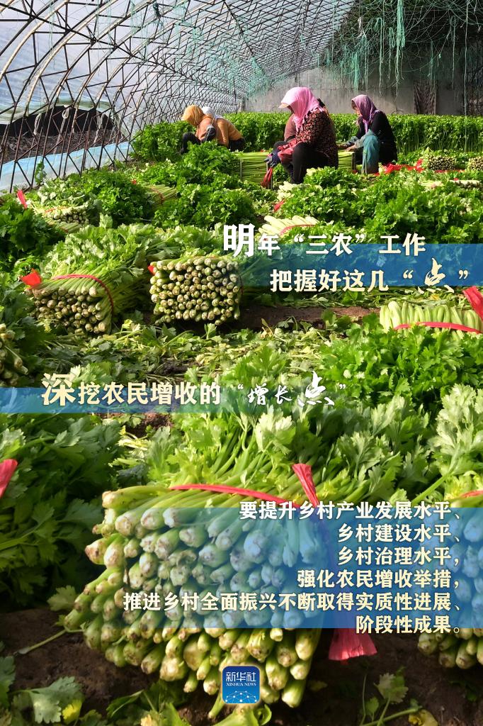 明年“三農(nóng)”工作，這幾個“點”要把握好