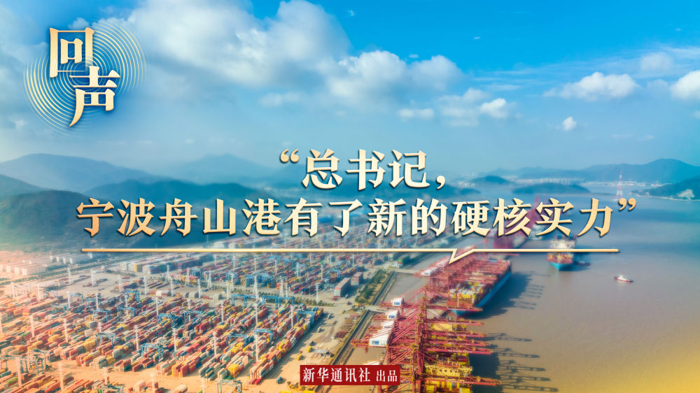 回聲｜“總書記，寧波舟山港有了新的硬核實力”