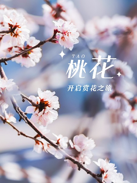 追花指南第三期！別等了 今天就去和桃花撞個滿懷