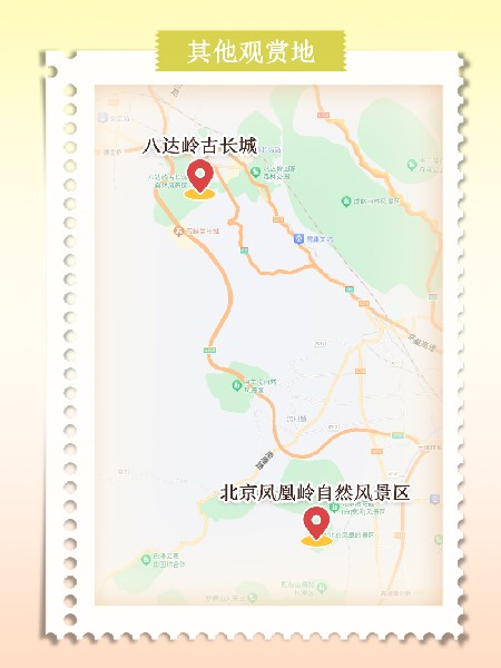 追花指南第六期！杏花雨 楊柳風(fēng) 北京最美的杏花在這里