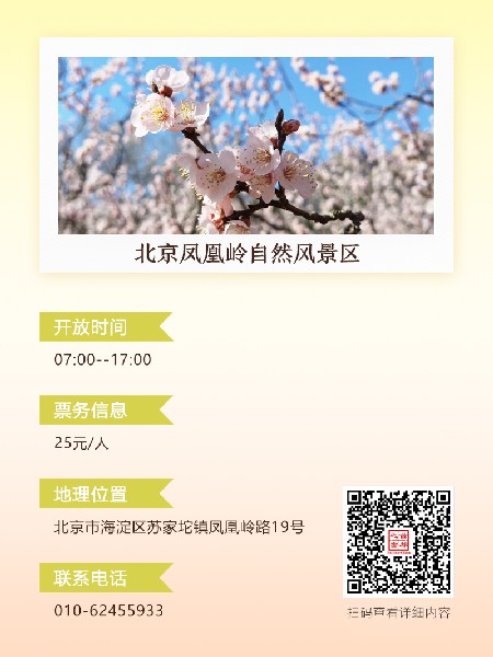 追花指南第六期！杏花雨 楊柳風(fēng) 北京最美的杏花在這里