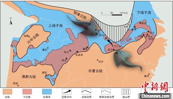 華南地區(qū)志留紀(jì)早期古地理圖和盔甲魚類化石產(chǎn)地(山顯任改自陳旭、戎嘉余，1996；戎嘉余等，2012) 中科院古脊椎所 供圖
