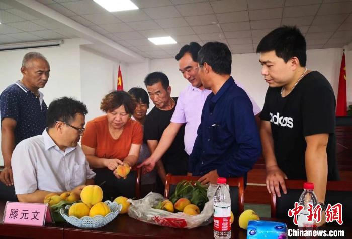 民進浙江省委會為三里橋黃桃種植戶送技術、送指導。　嘉善統(tǒng)戰(zhàn) 供圖