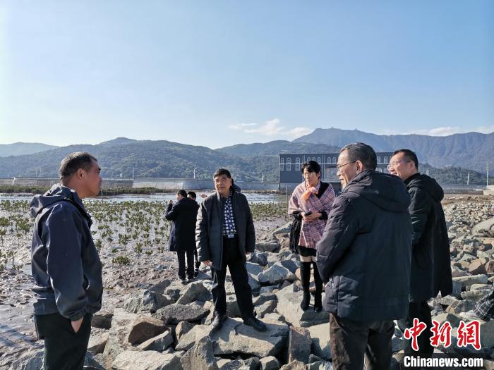 浙江海洋生態(tài)觀察：智慧大腦如何解鎖藍(lán)色發(fā)展密碼？