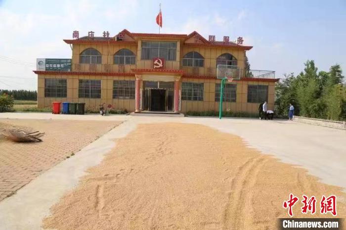 農(nóng)民在邳莊鎮(zhèn)尚莊村黨群服務(wù)中心大院里曬糧?！≠Z萌 攝