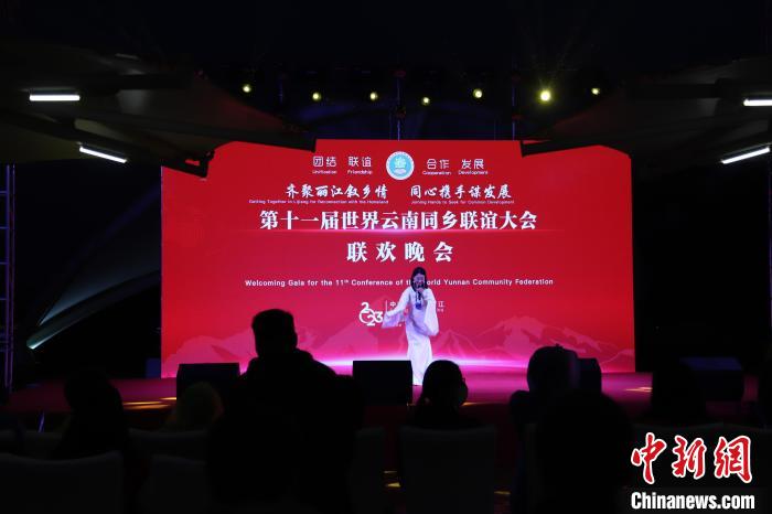 圖為第十一屆世界云南同鄉(xiāng)聯(lián)誼大會舉辦聯(lián)歡晚會?！〈抻澜?攝