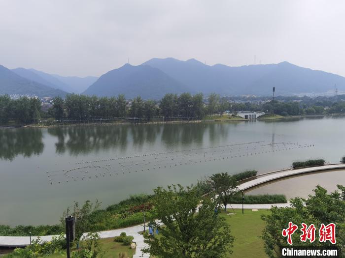 兩岸媒體共探杭州亞運會“綠”在何處？