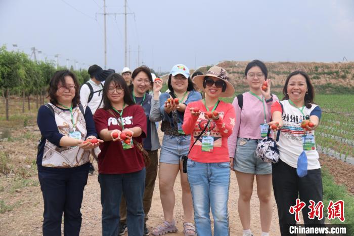 圖為臺(tái)胞體驗(yàn)大美內(nèi)蒙古?！⊥袐I供圖