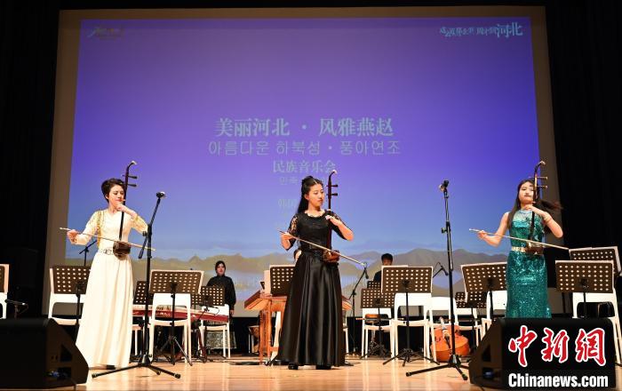 圖為音樂(lè)會(huì)現(xiàn)場(chǎng)?！∈谞栔袊?guó)文化中心供圖