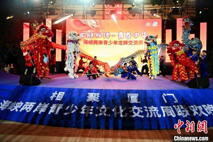 聯(lián)歡晚會上，兩岸青少年同臺呈現(xiàn)龍獅表演。　王東明 攝