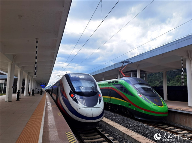 “復(fù)興號”和“瀾滄號”國際旅客列車?？吭诶蠐肽ザ≌?。人民網(wǎng) 杜明明攝