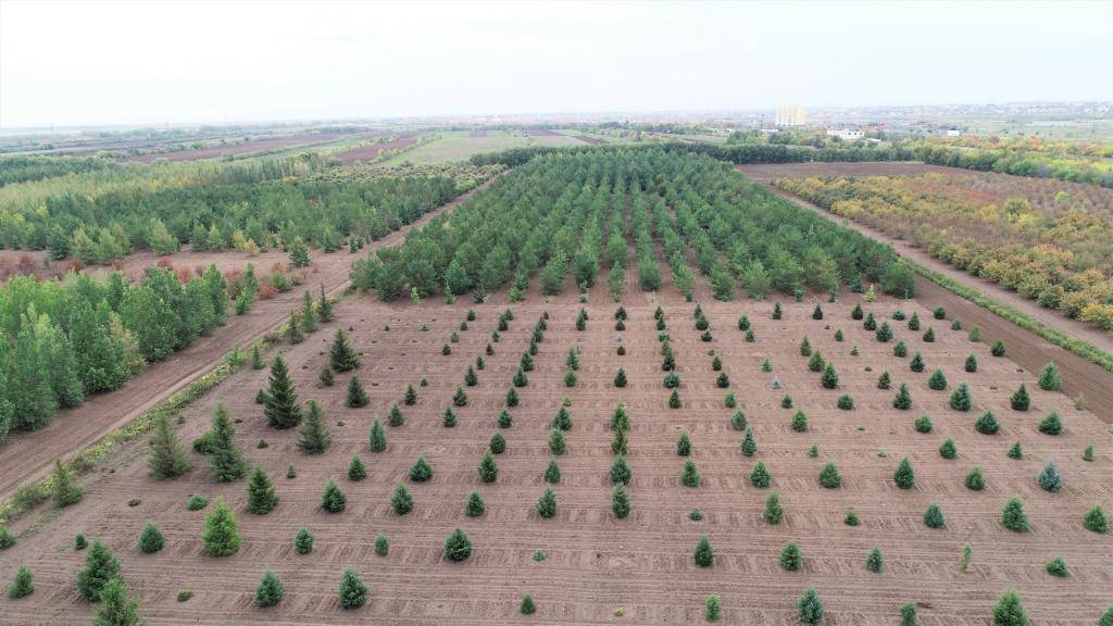 這是2023年9月11日在哈薩克斯坦首都阿斯塔納拍攝的一處植物種質(zhì)資源苗圃（無人機(jī)照片）。新華社發(fā)（法爾哈特·圖克諾夫 攝）