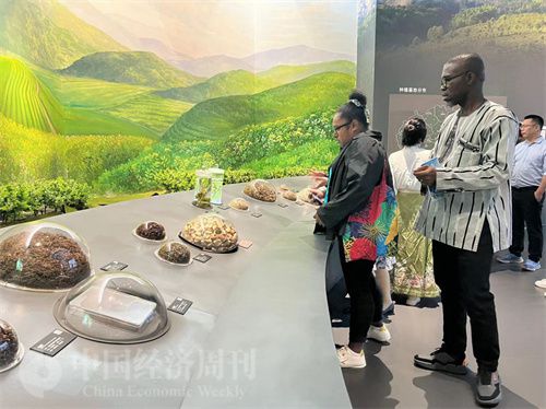   （在中國藥都中醫(yī)藥博物館，外媒記者了解中醫(yī)藥發(fā)展史。中國經(jīng)濟(jì)周刊記者 郭志強(qiáng) 攝）