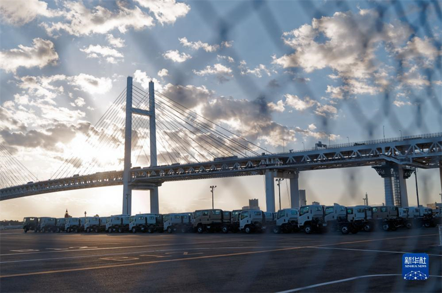 這是11月14日在日本橫濱拍攝的進(jìn)出口汽車集散場地。新華社記者 張笑宇 攝