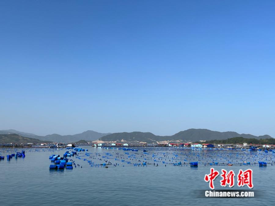 霞浦縣海上魚排。<a target='_blank' href='/' ><p  align=