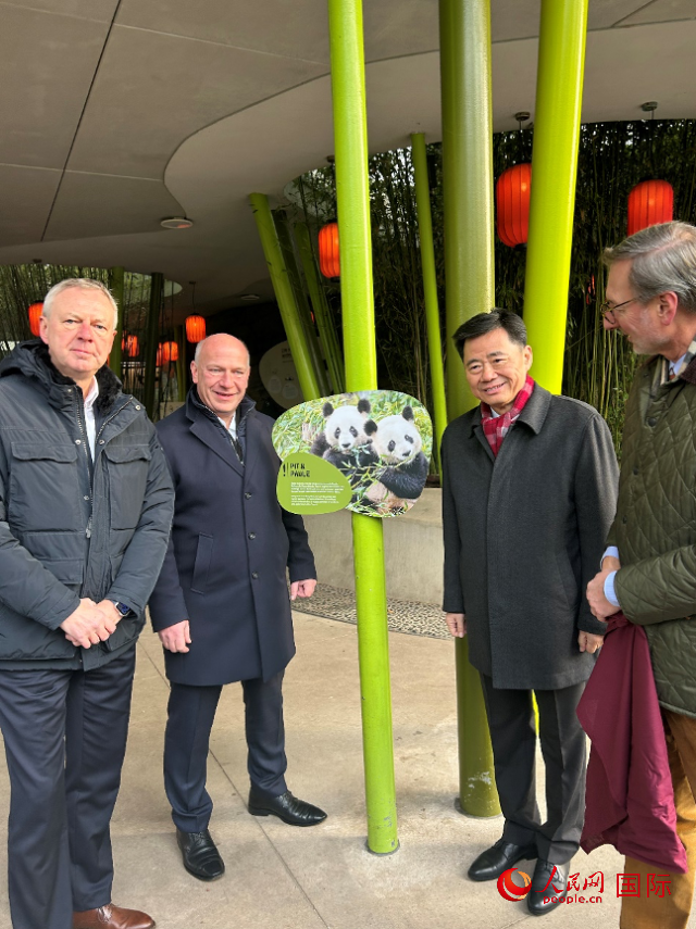 中國(guó)駐德國(guó)大使吳懇（右二）、柏林市長(zhǎng)韋格納（左二）、動(dòng)物園園長(zhǎng)克尼里姆（右一）和監(jiān)事會(huì)主席布魯克曼（左一）共同為“夢(mèng)想”“夢(mèng)圓”大熊貓紀(jì)念牌揭幕。人民網(wǎng)記者 徐馨攝
