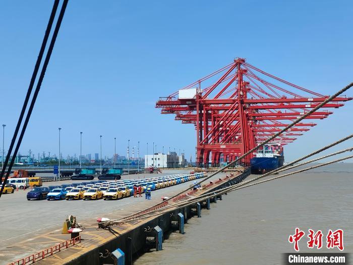 資料圖：國產(chǎn)新能源車在上海外高橋港區(qū)海通碼頭“整裝待發(fā)”?！∑址?攝