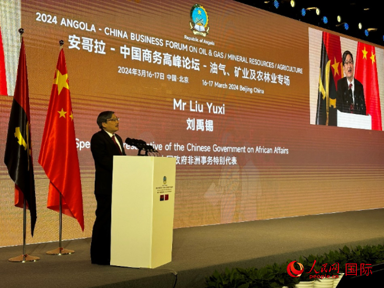 中國(guó)政府非洲事務(wù)特別代表劉禹錫。人民網(wǎng)記者 張榮攝