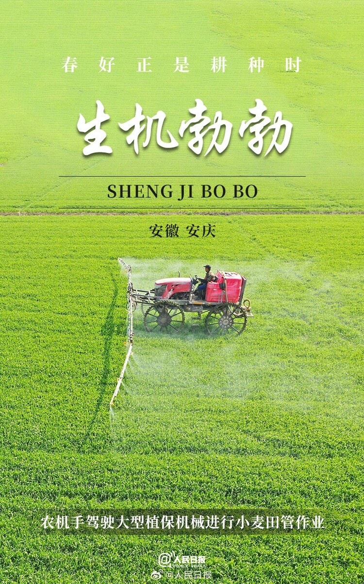 生機(jī)盎然！用課本封面打開(kāi)春耕畫(huà)卷