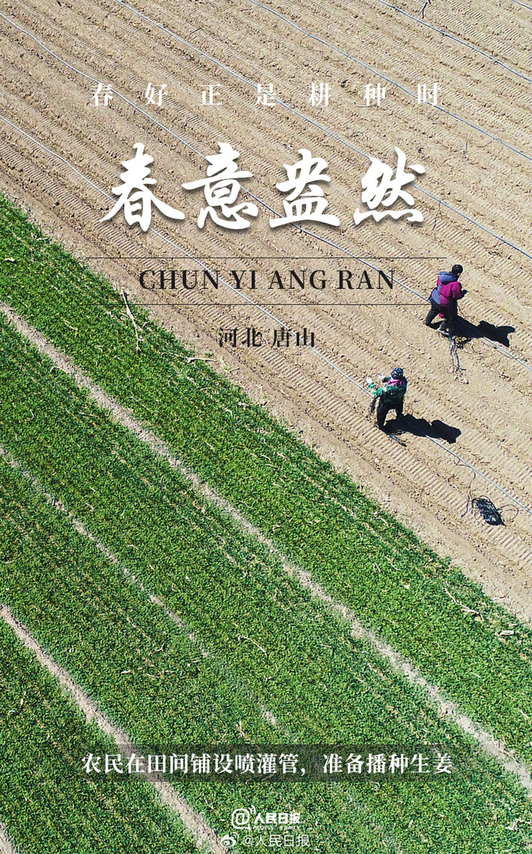 生機(jī)盎然！用課本封面打開(kāi)春耕畫(huà)卷