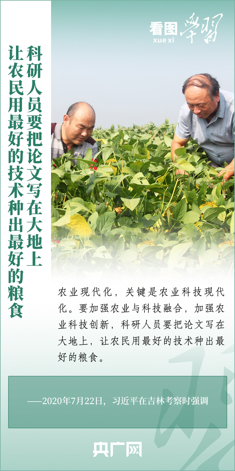 看圖學(xué)習(xí)丨推廣良田、良種、良法、良機 給農(nóng)業(yè)現(xiàn)代化插上科技的翅膀