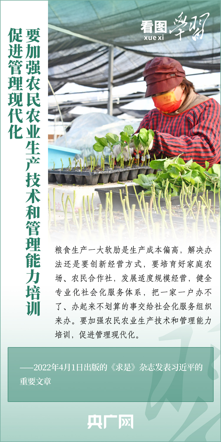 看圖學(xué)習(xí)丨推廣良田、良種、良法、良機 給農(nóng)業(yè)現(xiàn)代化插上科技的翅膀
