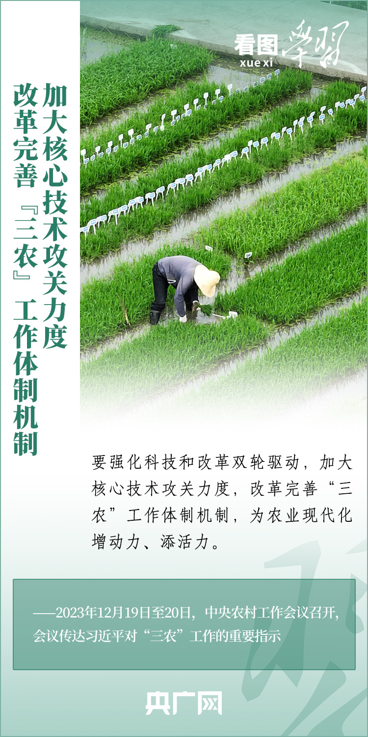 看圖學(xué)習(xí)丨推廣良田、良種、良法、良機 給農(nóng)業(yè)現(xiàn)代化插上科技的翅膀