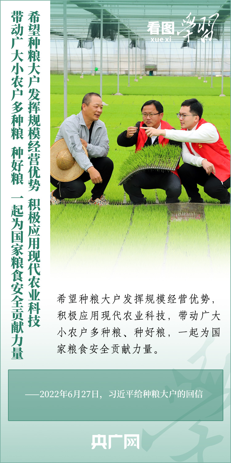 看圖學(xué)習(xí)丨推廣良田、良種、良法、良機 給農(nóng)業(yè)現(xiàn)代化插上科技的翅膀