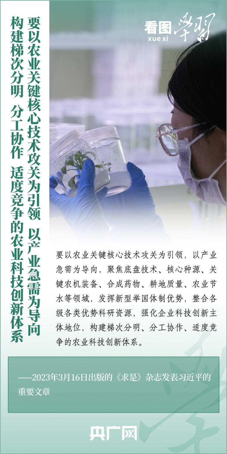 看圖學(xué)習(xí)丨推廣良田、良種、良法、良機 給農(nóng)業(yè)現(xiàn)代化插上科技的翅膀