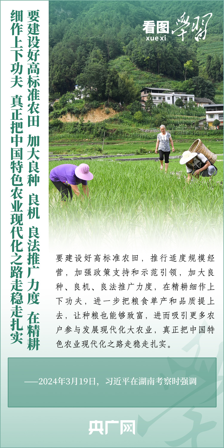 看圖學(xué)習(xí)丨推廣良田、良種、良法、良機 給農(nóng)業(yè)現(xiàn)代化插上科技的翅膀