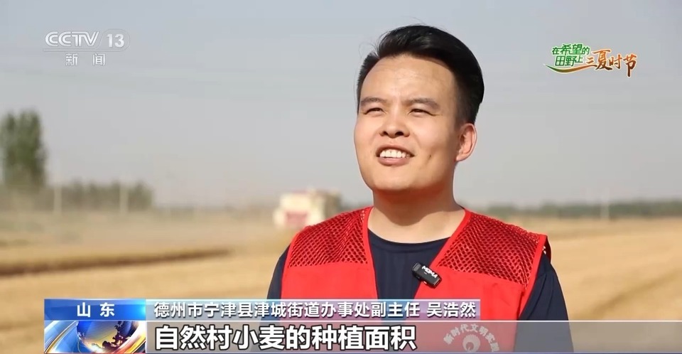 “三夏”生產(chǎn)思維導(dǎo)圖安排上了！還有政府大院等你來“曬”