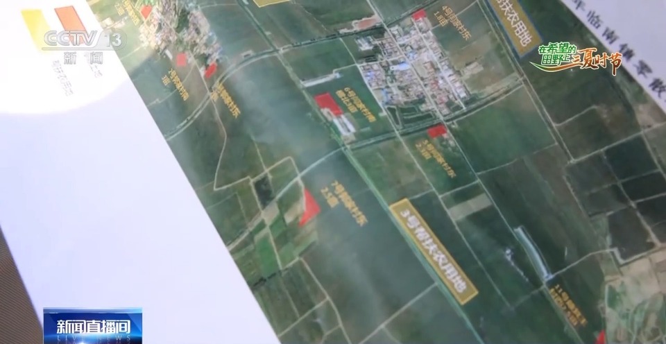 “三夏”生產(chǎn)思維導(dǎo)圖安排上了！還有政府大院等你來“曬”