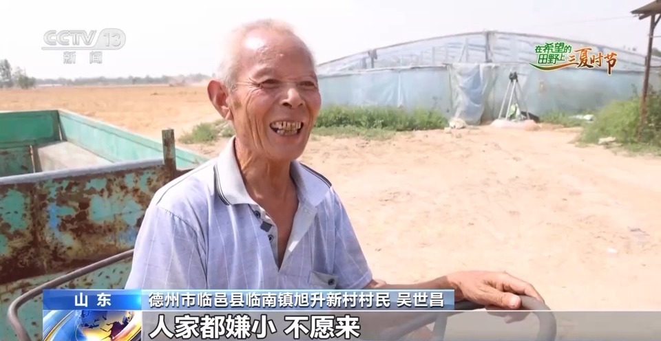 “三夏”生產(chǎn)思維導(dǎo)圖安排上了！還有政府大院等你來“曬”