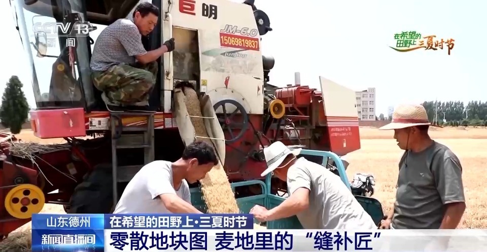 “三夏”生產(chǎn)思維導(dǎo)圖安排上了！還有政府大院等你來“曬”