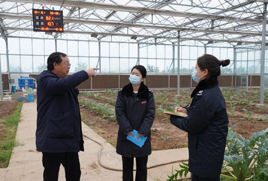 稅務干部走進常德市西洞庭管理區(qū)的朝鮮薊種植基地，宣傳稅費優(yōu)惠政策，助力農企搶農時、抓春耕、穩(wěn)增長。吳家豪攝