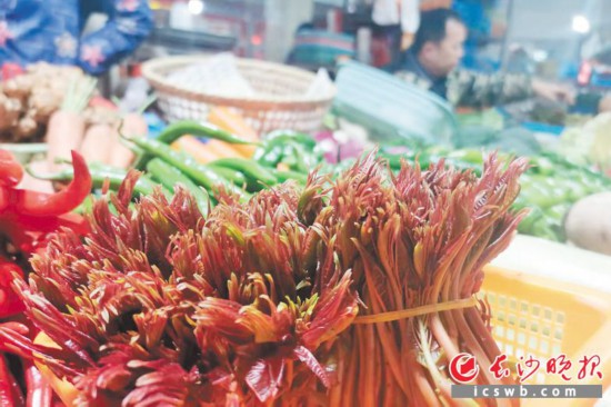 　　農(nóng)貿(mào)市場里鮮嫩的香椿。　　均為長沙晚報全媒體記者 劉捷萍 攝