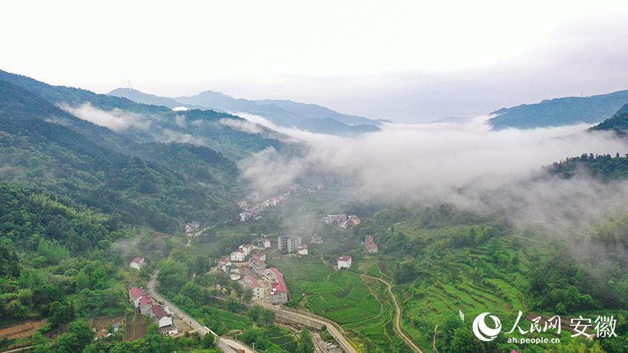 雨后的金寨大灣村，云霧環(huán)繞，宛如一幅田園山水畫(huà)卷。人民網(wǎng) 張俊攝