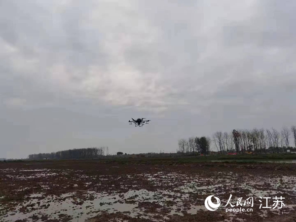 勝利圩高標(biāo)準(zhǔn)農(nóng)田進(jìn)行無(wú)人機(jī)水稻播種。陽(yáng)江鎮(zhèn)供圖