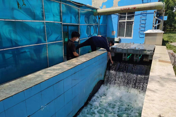 邯鄲市雞澤縣藍天污水處理廠員工正在出水口進行水質檢測。鄭佳欣攝