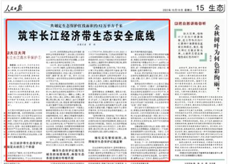 人民日報。截圖