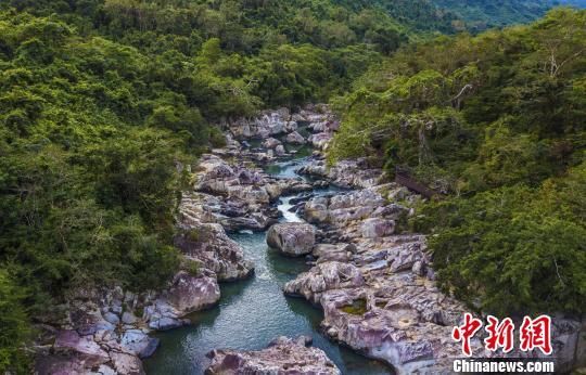 2018年海南生態(tài)環(huán)境狀況等級為“優(yōu)”，植被覆蓋率高，生物多樣性豐富，生態(tài)系統(tǒng)穩(wěn)定，圖為海南中部熱帶雨林。　駱云飛　攝