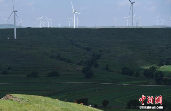 6月28日，河北張家口張北草原上大片風(fēng)力發(fā)電的“風(fēng)車”規(guī)模宏大。 中新社記者 楊艷敏 攝