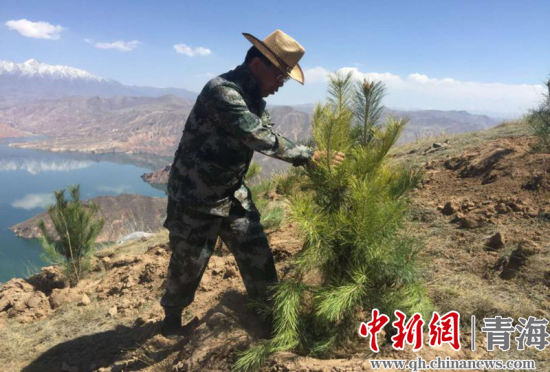圖為尖扎干部職工生態(tài)建設(shè)和環(huán)境保護(hù)現(xiàn)場。尖宣 供圖