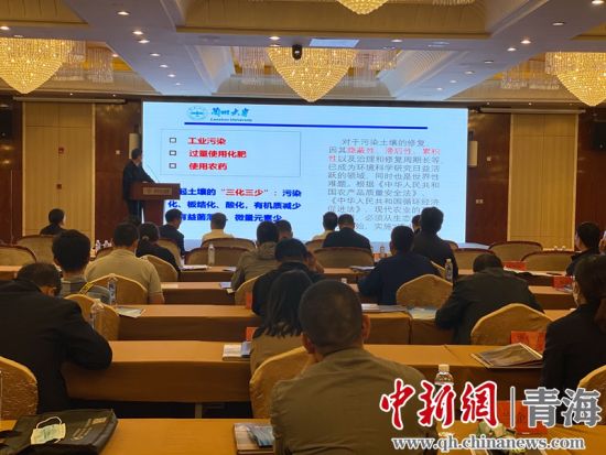 圖為論壇現(xiàn)場。李江寧攝