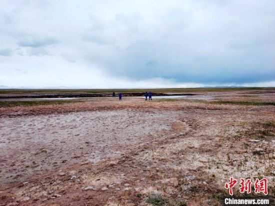圖為救援力量在青海省西部搜救失聯(lián)的江蘇南京某大學(xué)女生黃某某。海西州藍天應(yīng)急救援中心 供圖