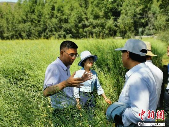 圖為九三學社青海省委主委杜德志(左一)在基層調研。受訪者供圖