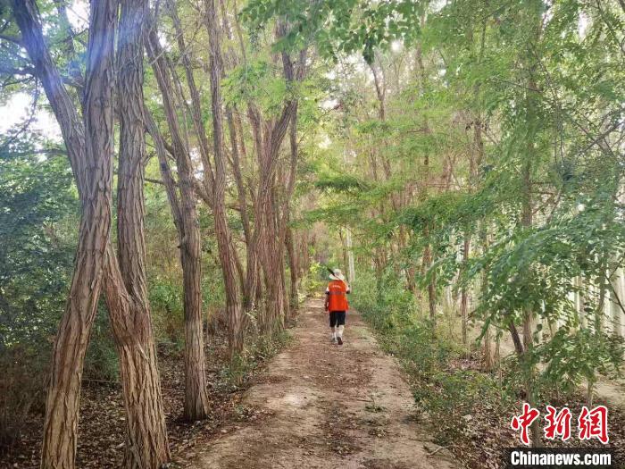 戈壁灘上的護林員：以前風吹睜不開眼，現(xiàn)在滿眼皆綠色