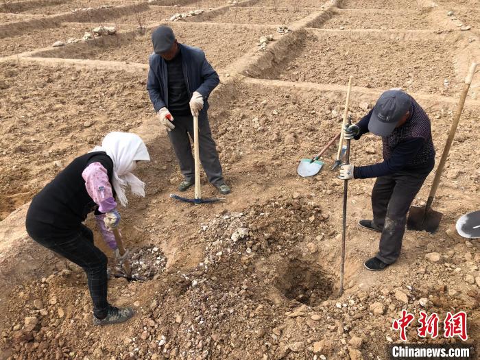 資料圖為建行青海省分行綠化區(qū)施工隊(duì)隊(duì)員處理亂石?！〗ㄐ星嗪Ｊ》中泄﹫D