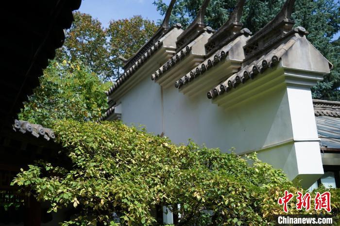 圖為西寧園林植物園內(nèi)的蘇式風(fēng)格建筑。　馬銘言 攝